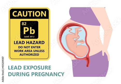 Heavy Metal Lead Iron toxic industry water air food based paint brain cancer kidney health human environmental contamination power plant risk danger fish Drink line test kids level lab poison waste