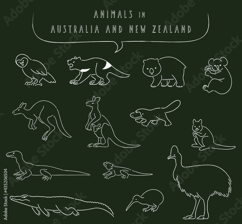 オーストラリアとニュージーランドの動物のイラストセット