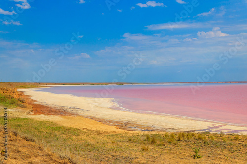 Fototapeta Naklejka Na Ścianę i Meble -  View of the pink salty Syvash lake in Kherson region, Ukraine