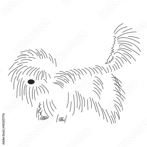 Funny shaggy dog. Silhouette of a cute lapdog with outlines. Pet grooming, leisure, friendliness. Hand-drawn vector, line art, black and white. Comic cartoon character. Childhood, joy, carelessness.