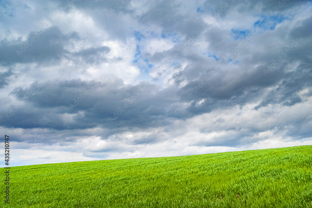 Thunderclouds over the green hill. Dark cloudy sky over young green grass. Classic natural wallpaper for editing and design.