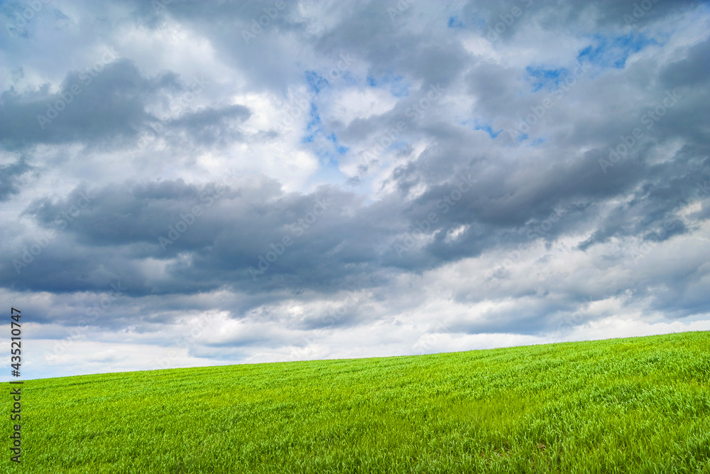 Thunderclouds over the green hill. Dark cloudy sky over young green grass. Classic natural wallpaper for editing and design. Thunderclouds over the green hill. Dark cloudy sky over young green grass. Classic natural wallpaper for editing and design.