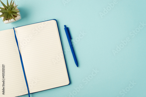 Top view photo of open blue notepad pen and plant on isolated pastel blue background with blank space