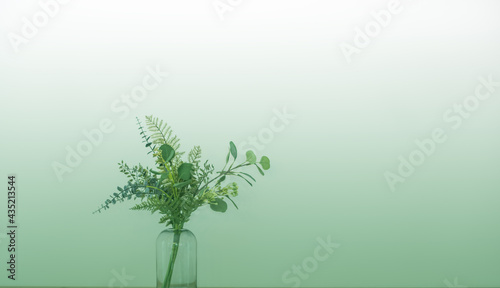 Glass vase with green flowers. Color gradient. Copy space. Backgound  banner. 
