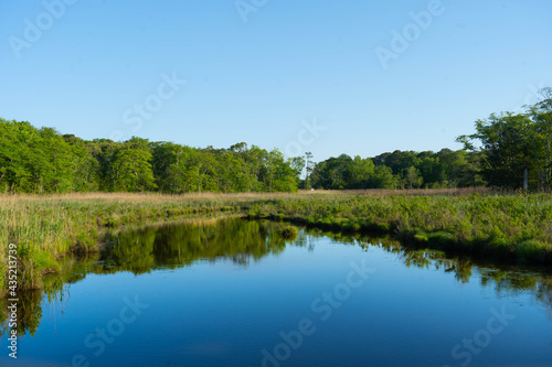 Fototapeta Naklejka Na Ścianę i Meble -  lake water nature  landscape forest
