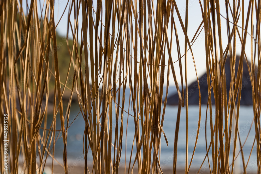 sea view through dried rattan sea view through dried rattan