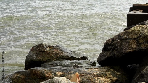 Ocean waves calmly hit the rocks.