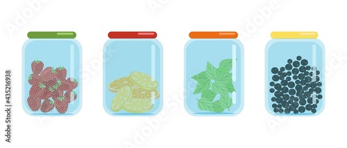 Glass jars closed with lids filled with dried slices of lemons and oranges, black currants and strawberries, dried fruit blanks, vector illustration in flat style, isolate, cartoon.