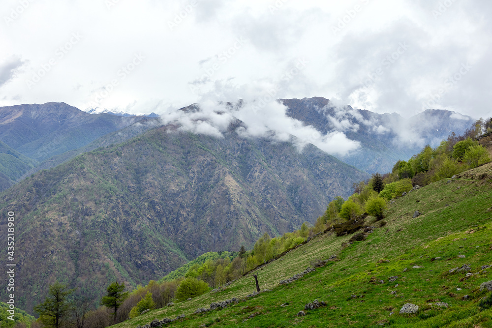 Foschia sulla montagna - Oasi Zegna (Biella)