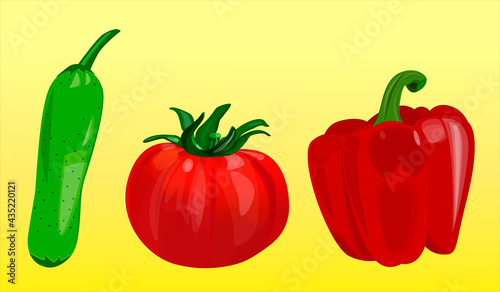 Set cucumber tomato pepper. Vector.