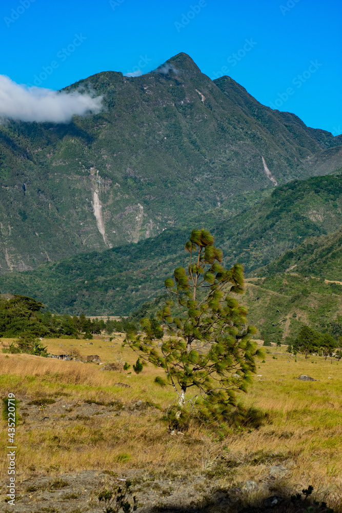Vista de árboles y montañas en el Parque Nacional Volcán Barú en Chiriquí, Panamá 