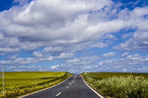 Field full of sky photo