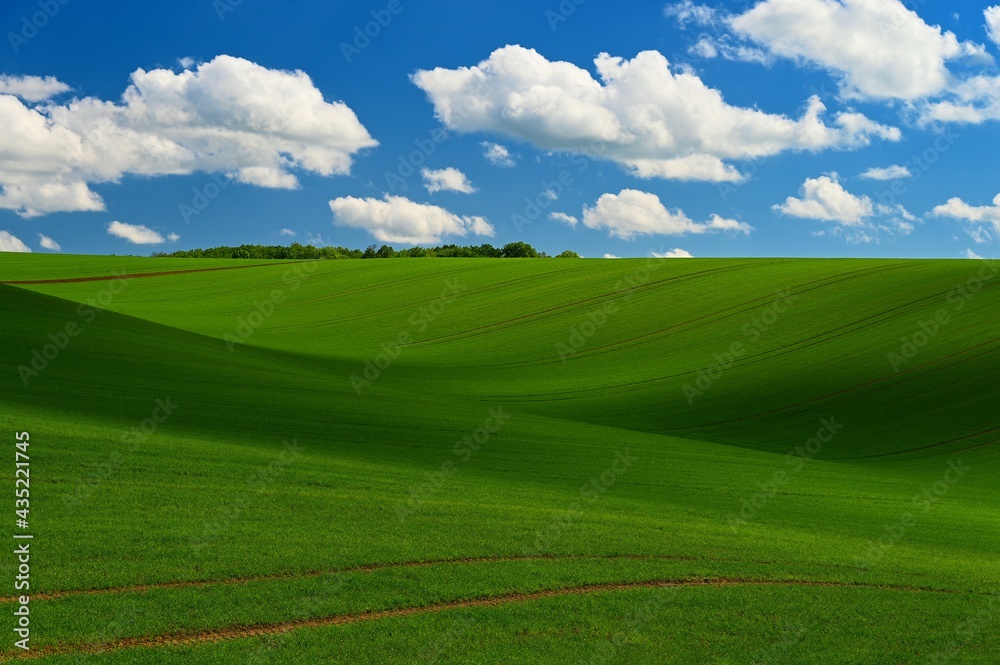 Beautiful spring landscape with blue sky, sun and clouds.