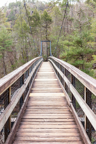 Wooden suspension bridge in the forest