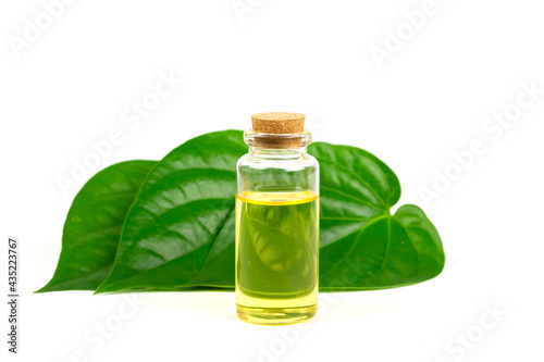 Betel Essential oil in bottle and green leaf isolated on white background.