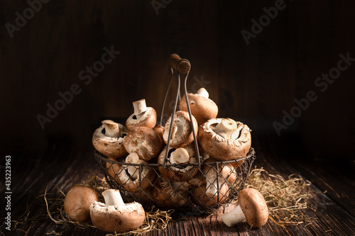 Pilze, weiße  Champignons liegen im Draht Korb auf dem Holz Tisch. Der Hintergrund ist dunkler Holz. Rund um zu liegt Stroh. Querformat, gesunde Ernährung, Studio Bild.