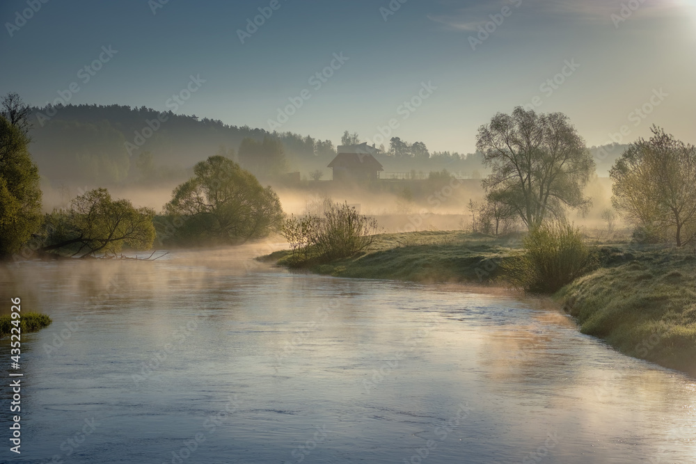 Fototapeta premium May in Istra river