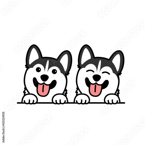 Cute siberian husky dog smiling over wall cartoon, vector illustration