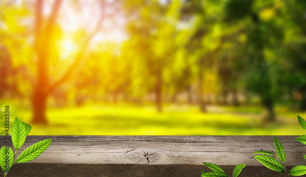wood table free space and spring sunny garden, park, vegetable garden,