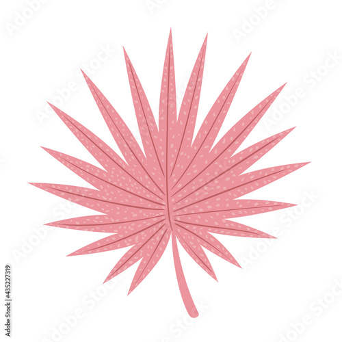 tropical pink leaf