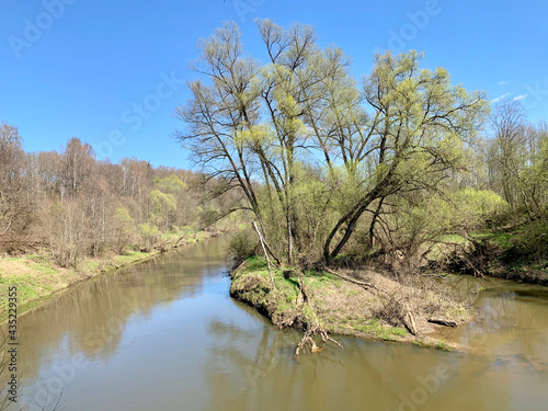 Russia, Moscow region Protva river in May photo