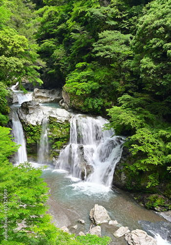 Fototapeta Naklejka Na Ścianę i Meble -  四国徳島県の山中にある大釜の滝と大轟の滝。新緑と映える。