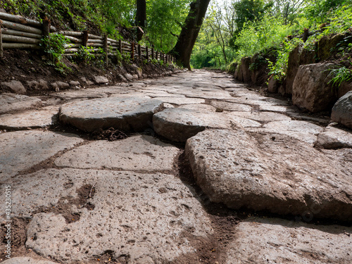  Immersa nel verde del  bosco, antica strada romana sul Monte Tuscolo, dove sorgeva l'omonima città. photo