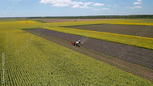 Aerial viideo of harvesting lavender field. photo