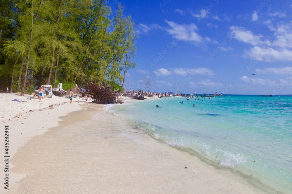 beach with palm trees