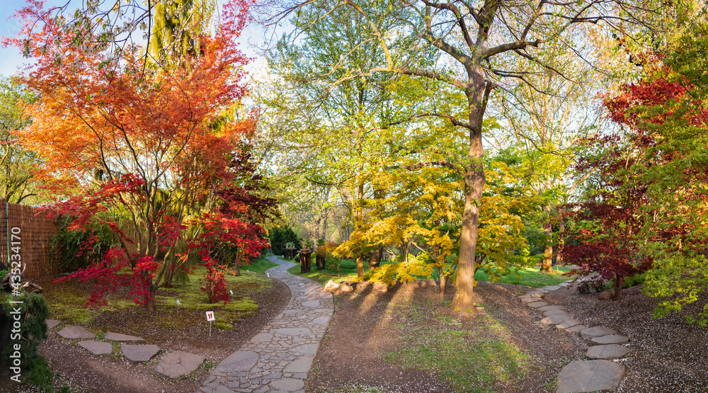 Naklejka premium Panoramatic shot of sunlit forest with two ways
