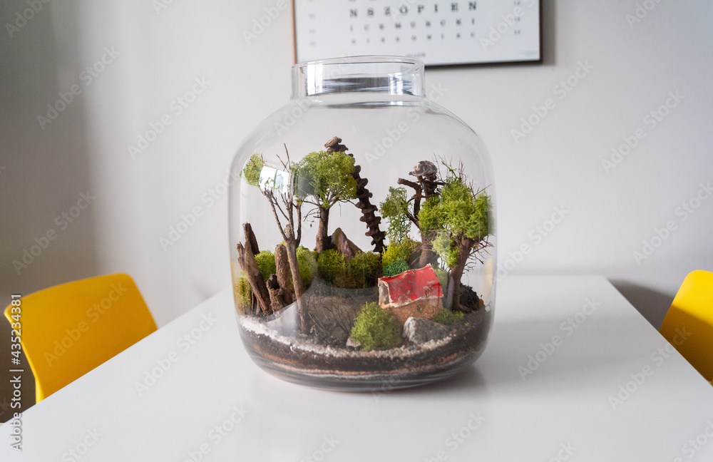 Small decoration plants in a glass bottle, garden terrarium bottle, forest in a jar. Terrarium jar with piece of forest with self ecosystem. Save the earth concept. Bonsai, set of terrariums, jars