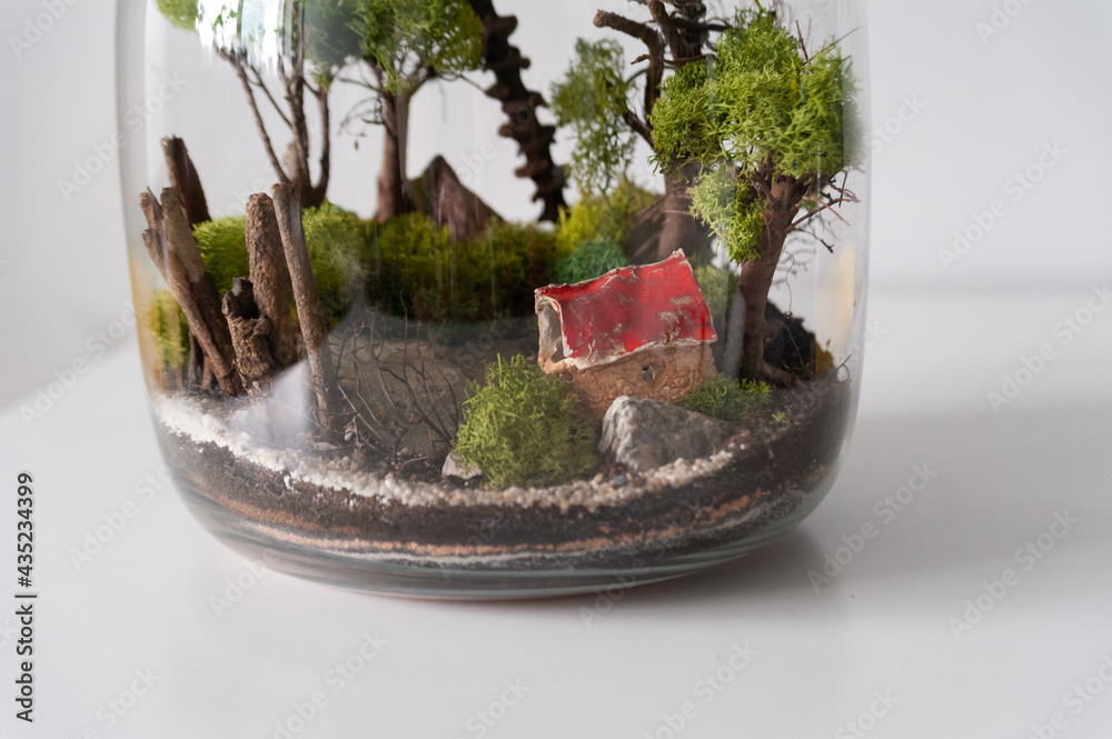 Small decoration plants in a glass bottle, garden terrarium bottle, forest in a jar. Terrarium jar with piece of forest with self ecosystem. Save the earth concept. Bonsai, set of terrariums, jars