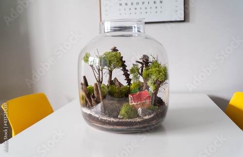 Obraz na płótnie Small decoration plants in a glass bottle, garden terrarium bottle, forest in a jar. Terrarium jar with piece of forest with self ecosystem. Save the earth concept. Bonsai, set of terrariums, jars w salonie
