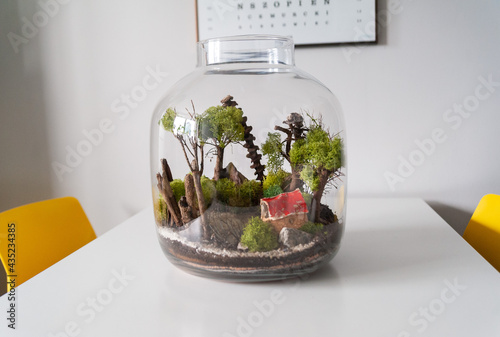 Obraz na płótnie Small decoration plants in a glass bottle, garden terrarium bottle, forest in a jar. Terrarium jar with piece of forest with self ecosystem. Save the earth concept. Bonsai, set of terrariums, jars w salonie
