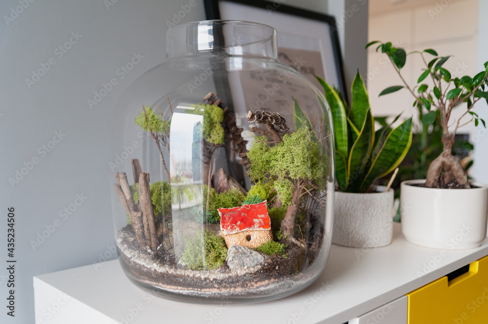 Small decoration plants in a glass bottle, garden terrarium bottle, forest in a jar. Terrarium jar with piece of forest with self ecosystem. Save the earth concept. Bonsai, set of terrariums, jars