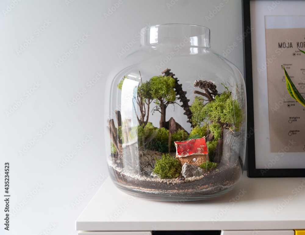 Small decoration plants in a glass bottle, garden terrarium bottle, forest in a jar. Terrarium jar with piece of forest with self ecosystem. Save the earth concept. Bonsai, set of terrariums, jars