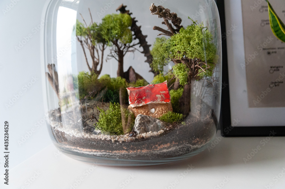 Small decoration plants in a glass bottle, garden terrarium bottle, forest in a jar. Terrarium jar with piece of forest with self ecosystem. Save the earth concept. Bonsai, set of terrariums, jars