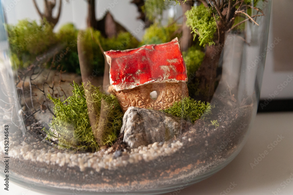 Small decoration plants in a glass bottle, garden terrarium bottle, forest in a jar. Terrarium jar with piece of forest with self ecosystem. Save the earth concept. Bonsai, set of terrariums, jars