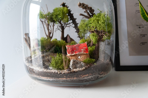 Obraz na płótnie Small decoration plants in a glass bottle, garden terrarium bottle, forest in a jar. Terrarium jar with piece of forest with self ecosystem. Save the earth concept. Bonsai, set of terrariums, jars w salonie