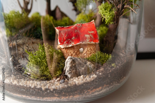 Obraz na płótnie Small decoration plants in a glass bottle, garden terrarium bottle, forest in a jar. Terrarium jar with piece of forest with self ecosystem. Save the earth concept. Bonsai, set of terrariums, jars w salonie