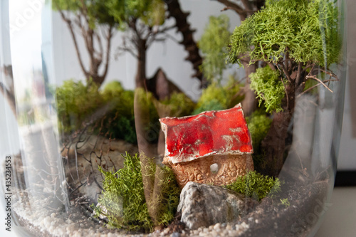 Small decoration plants in a glass bottle, garden terrarium bottle,  forest in a jar. Terrarium jar with piece of forest with self ecosystem. Save the earth concept. Bonsai, set of terrariums, jars