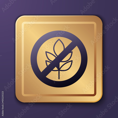Purple Gluten free grain icon isolated Purple background. No wheat sign. Food intolerance symbols. Gold square button. Vector