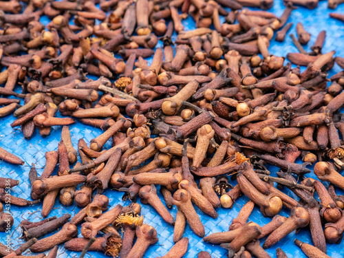 Cloves are dried by local farmers in North Kolaka of Southeast Sulawesi.