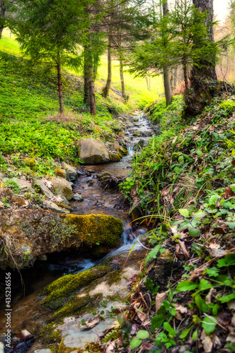 Beautiful river flowing over rocks and through forest nature. Green trees, fast river stream.  © Viktoria