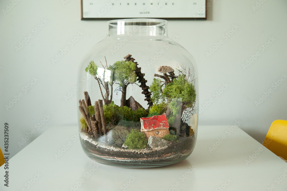 Small decoration plants in a glass bottle, garden terrarium bottle, forest in a jar. Terrarium jar with piece of forest with self ecosystem. Save the earth concept. Bonsai, set of terrariums, jars