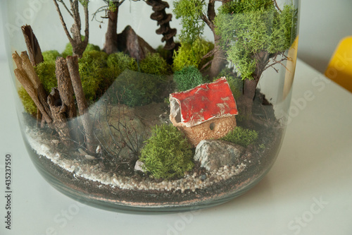 Obraz na płótnie Small decoration plants in a glass bottle, garden terrarium bottle, forest in a jar. Terrarium jar with piece of forest with self ecosystem. Save the earth concept. Bonsai, set of terrariums, jars w salonie