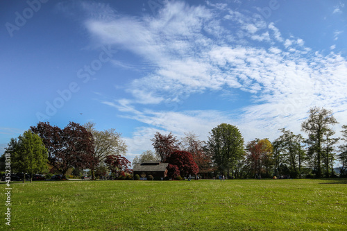 Green yard & Blue sky © C.Sense