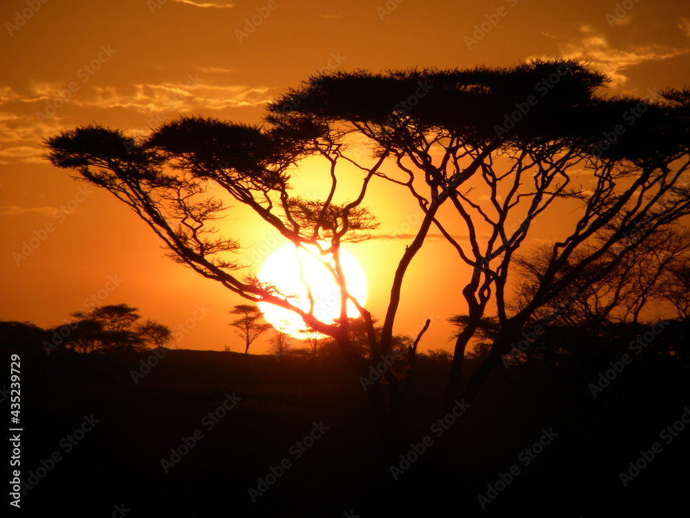 Sonnenaufgang Afrika