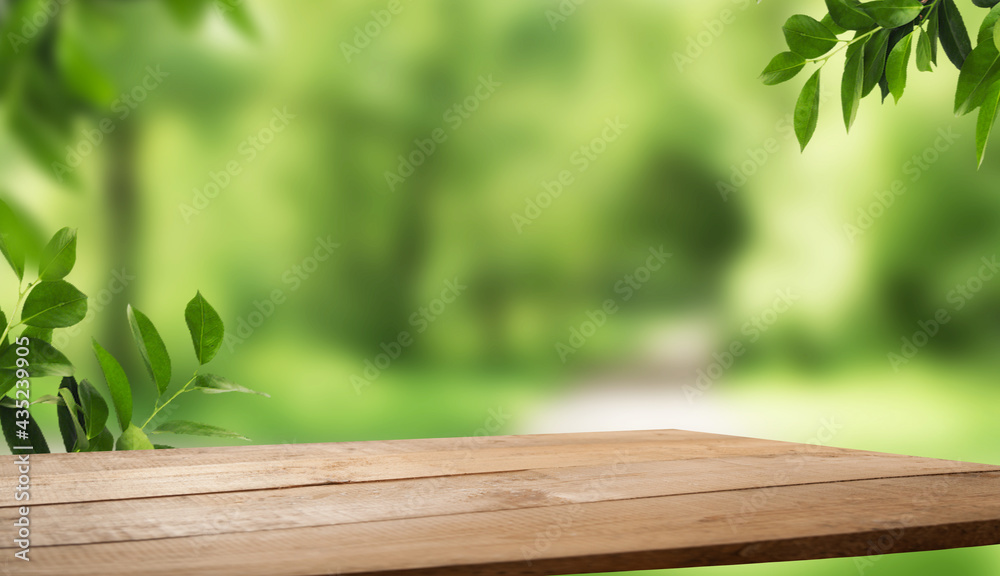 wood table free space and spring sunny garden, park, vegetable garden, wood table free space and spring sunny garden, park, vegetable garden,