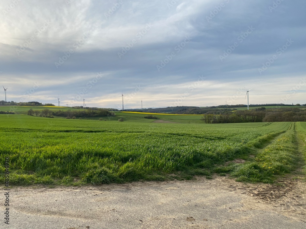 Feldweg - Getreide - Himmel - Landwirtschaft an einem Feldweg in der Eifel in Deutschland